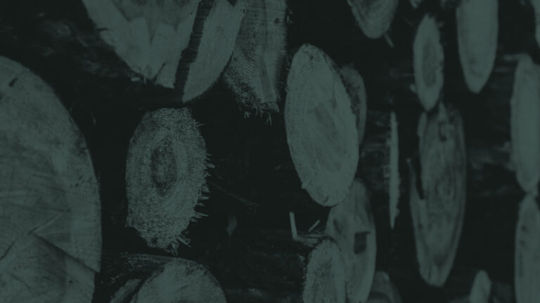 WELCHES HOLZ BRENNT AM BESTEN? – HARTHOLZMISCHUNG, NADELHOLZ & BIRKENHOLZ IM VERGLEICH