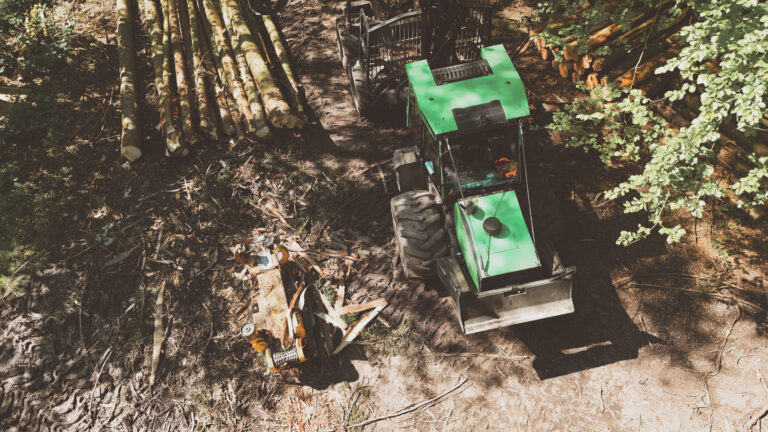 RÜCKUNG DES EINGESCHLAGENEN HOLZES – EFFIZIENZ UND NACHHALTIGKEIT